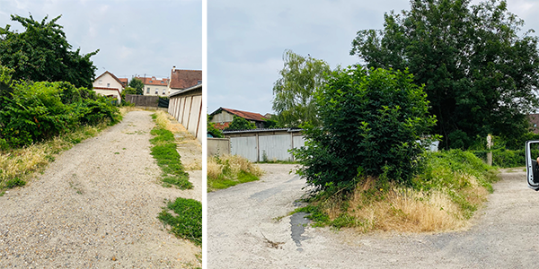 désherbage et taille de buisson à Sartrouville