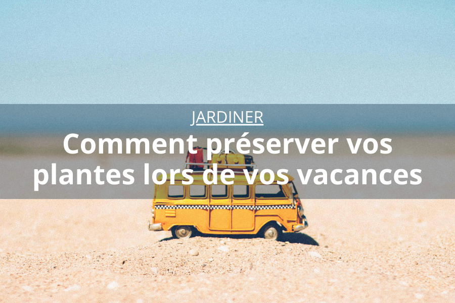 Comment préserver vos plantes lors de vos vacances